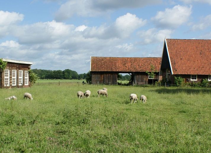 Unterkunft 523401 - Ferienhaus Twente - Hoeve Ezelsgoor