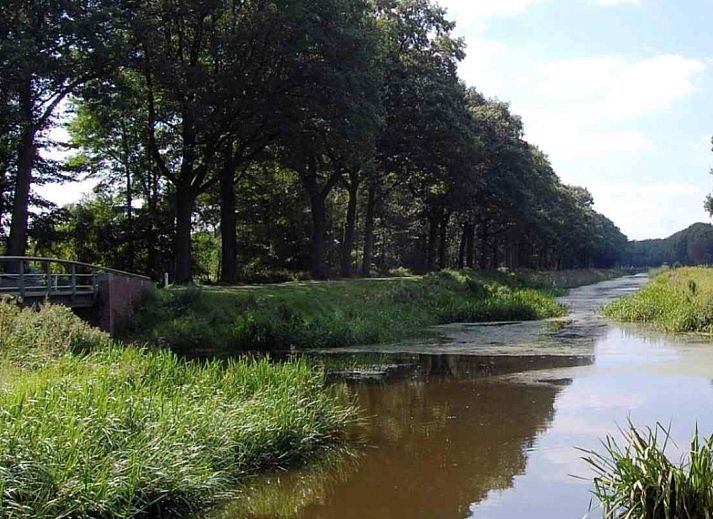 Geraeumige Terrasse mit Sonnenschirm im Ferienhaus DG630 in Denekamp, Twente, umgeben von viel Gruen.