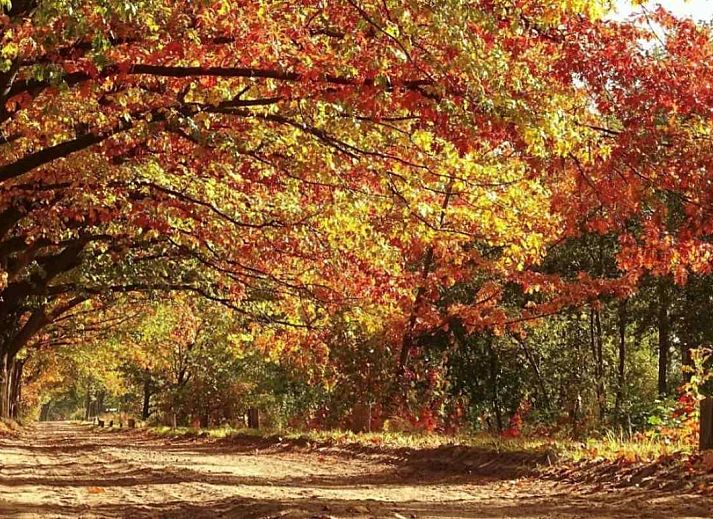Historisches Landhaus bei DG630 Ferienhaus in Denekamp, Twente.
