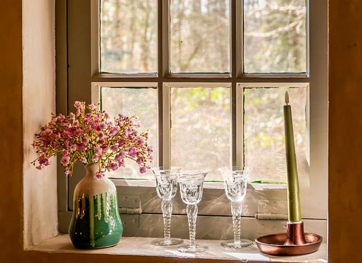 Cozy indoor area of Holiday cottage in Denekamp, Twente, with flowers on the table, ideal place for relaxing moments.