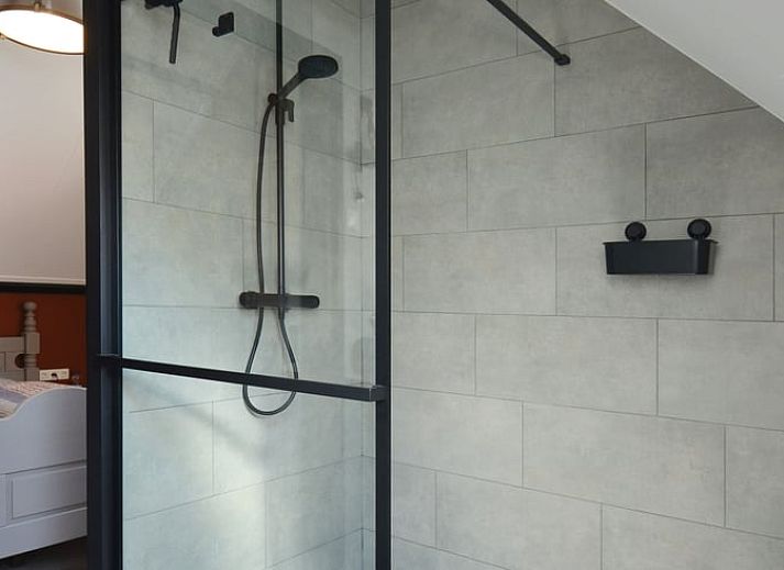 Vakantiehuis in Denekamp, kleurrijke kunst in de entree van de vakantiewoning in Twente, Overijssel.