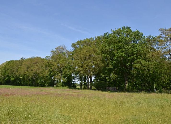 Vakantiehuis in Denekamp, stijlvolle hal in de vakantiewoning in Twente, Overijssel.