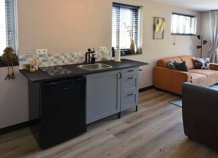 Colorful decoration in Holiday home in Denekamp, Twente, for a cheerful atmosphere in Overijssel.