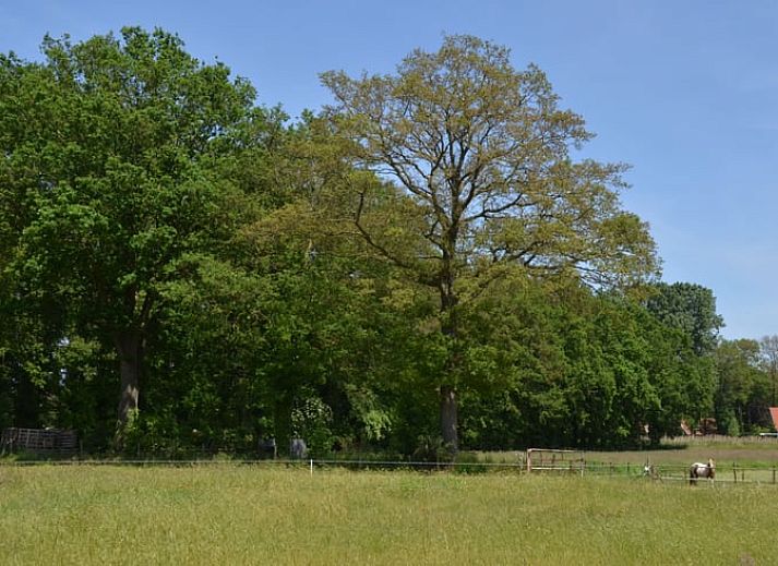Comfortable bedroom in Holiday home in Denekamp, Twente, ideal for rest in Overijssel.