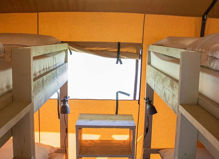 Unterkunft 523420 - Zelthaus Twente - Safaritent Country