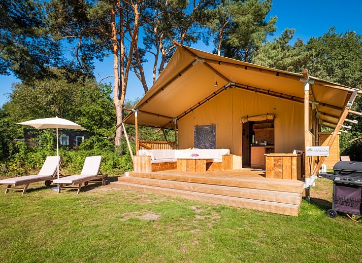 Verblijf 523438 • Tenthuis Twente • Safaritent Comfort