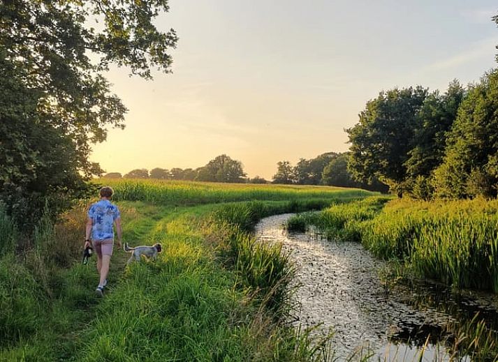 Guest house 523448 - Holiday property Twente - Vakantiehuisje in Denekamp