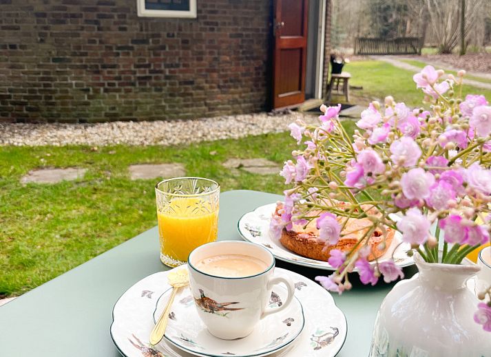 Guest house 523453 - Holiday property Twente - OV788