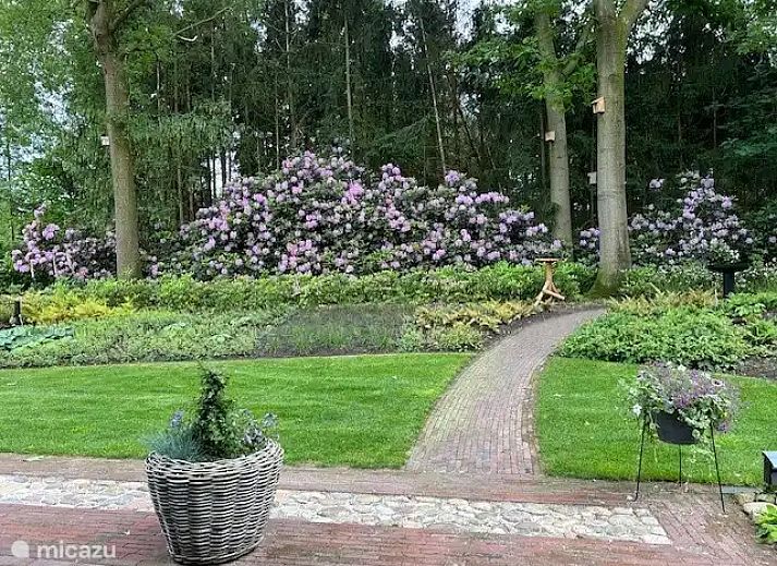 Unterkunft 523470 - Ferienhaus Twente - De Bosrand 55