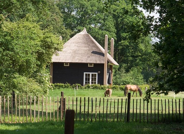 Geniet van de rust op de veranda van Huisje in Notter, vakantiehuis in Twente, Overijssel.