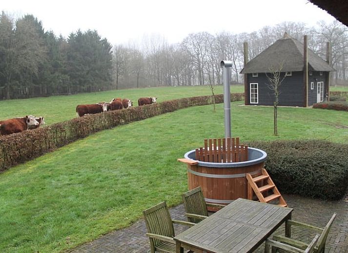 Huisje in Notter, vakantiehuis in Twente, omgeven door groene natuur en grazende paarden.