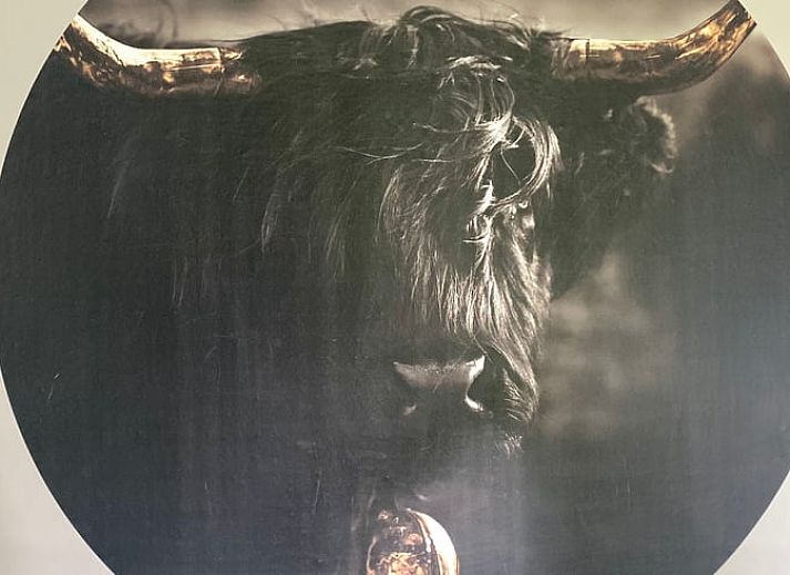 Unterkunft 523601 - Ferienhaus Twente - Vakantiehuisje in Daarle