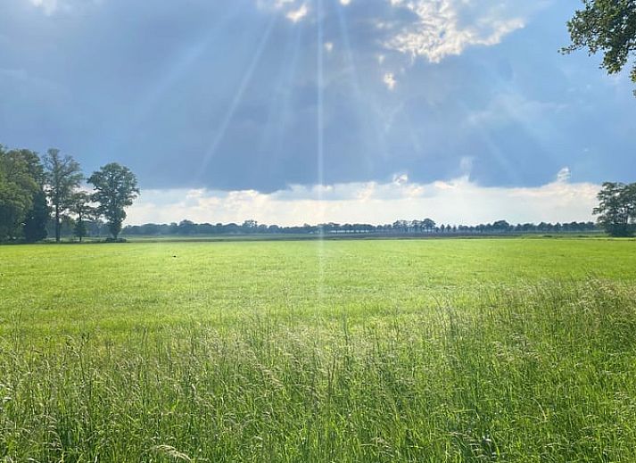 Unterkunft 523601 - Ferienhaus Twente - Vakantiehuisje in Daarle