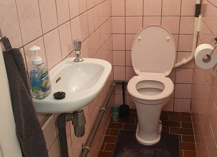 Blick von der Terrasse des Ferienhauses in Daarle ueber gruene Felder in Twente, Overijssel.