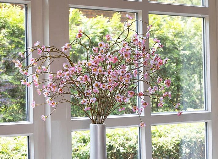 Vacation home in Losser, Twente offers rustic accommodation with charming garden and terrace, located in green Overijssel.