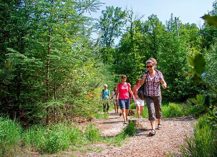 Stylish interior of Holiday Home in Losser, Twente, with comfortable seating and attractive decorations in a rural setting.