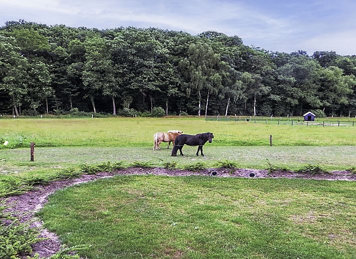 Eetruimte met uitzicht op tuin in Vakantiehuis Het Landhuis, Losser, Twente, voor een ontspannen maaltijd.