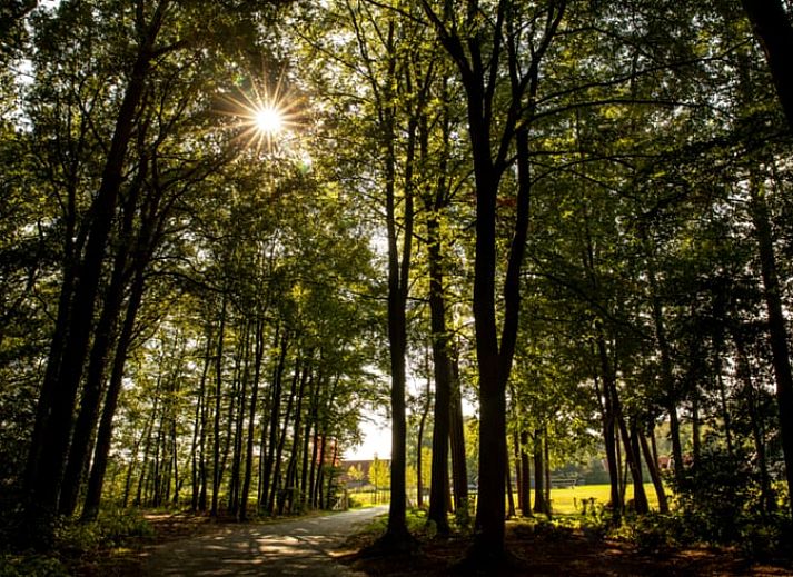 Huisje in Losser, een charmant vakantiehuis in Twente, Overijssel, omgeven door groene natuur en een ruime tuin voor ontspanning.