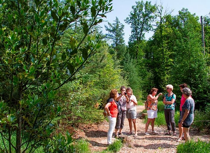 Gezellige eetruimte in Huisje in Losser, vakantiehuis in Twente, Overijssel met uitzicht op de groene tuin en terras.