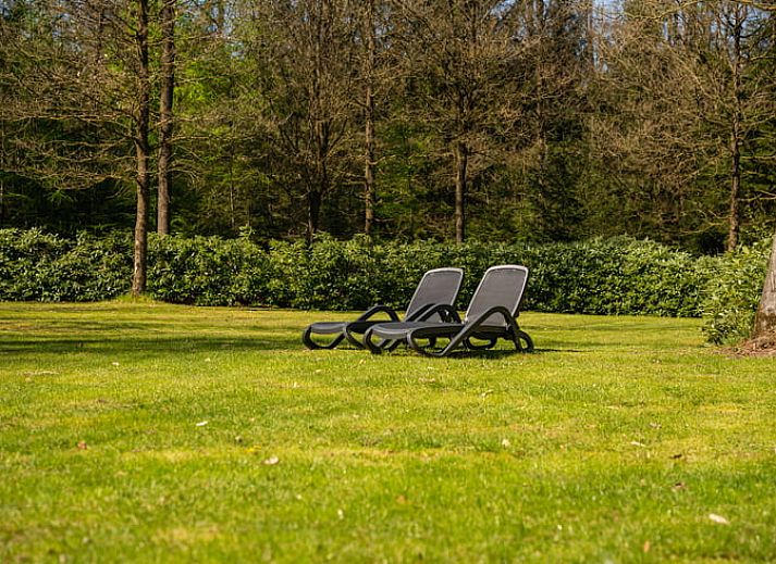 Charmant vakantiehuisje in Losser, Twente, omringd door weelderige natuur in Overijssel, ideaal voor een ontspannen verblijf.
