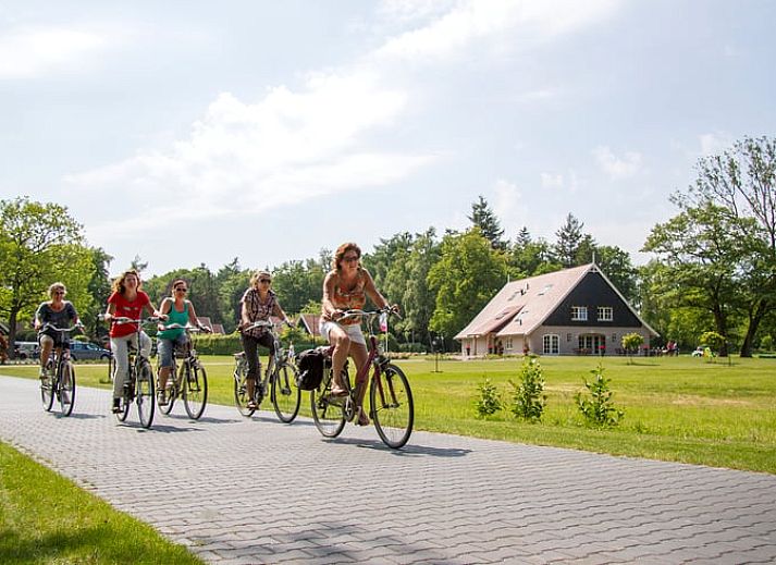 Verblijf 523810 - Vakantiewoning Twente - Huisje in Losser