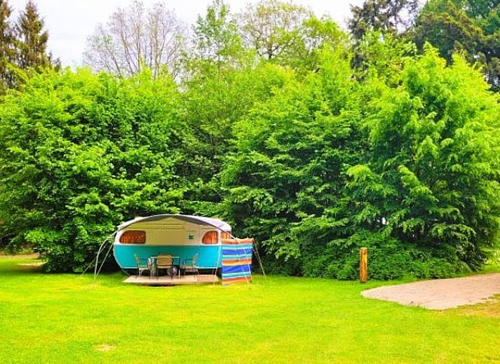 Verblijf 523814 • Vakantiewoning Twente • Natuurhuisje in Losser