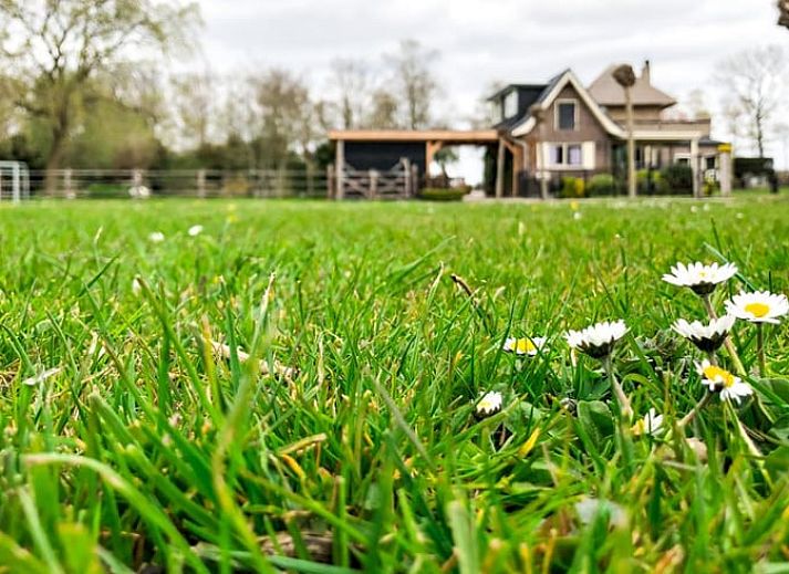 Stilvolle Einrichtung des Huisje in Losser, Ferienhaus in Twente.