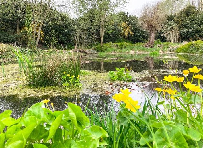 Stilvolle Einrichtung des Huisje in Losser, Ferienhaus in Twente.