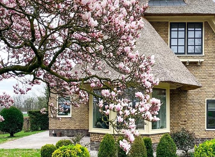 Ferienhaus in Losser, gemuetliche Sitzecke mit Ofen im Ferienhaus Overijssel.