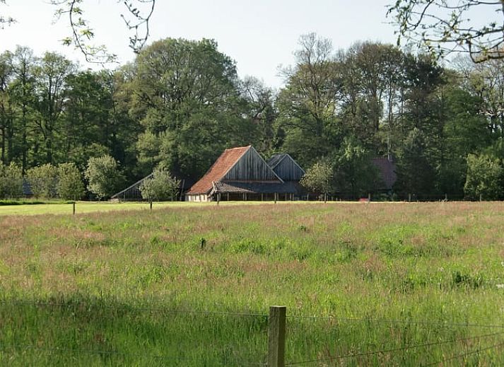 Rustikales Ferienhaus 'Huisje in Losser' umgeben von gruenen Wiesen und waldreicher Natur in Twente, Overijssel.