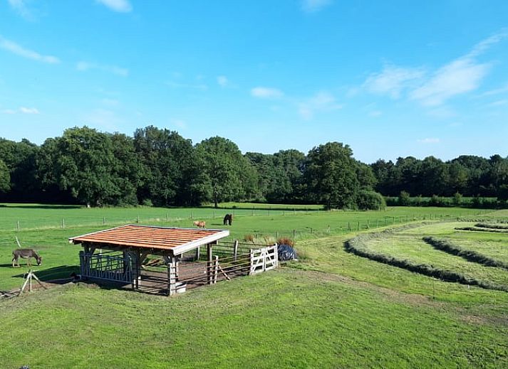 Rustikales Ferienhaus 'Huisje in Losser' umgeben von gruenen Wiesen und waldreicher Natur in Twente, Overijssel.