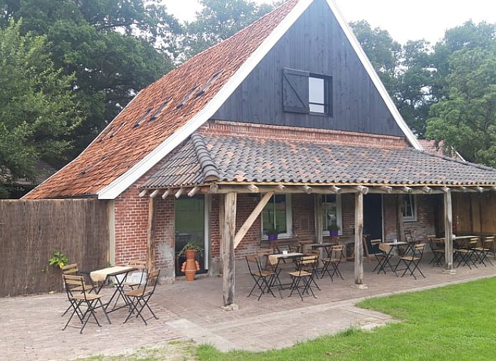 Rustikales Ferienhaus 'Huisje in Losser' umgeben von gruenen Wiesen und waldreicher Natur in Twente, Overijssel.