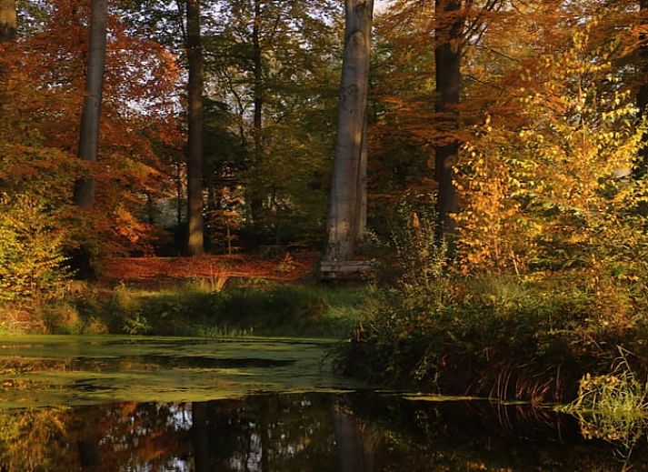 Gemuetliches Schlafzimmer im Huisje in Losser, einem Ferienhaus in Twente, Overijssel, mit einem bequemen Bett und stimmungsvoller Beleuchtung.