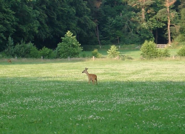 Gemuetliches Schlafzimmer im Huisje in Losser, einem Ferienhaus in Twente, Overijssel, mit einem bequemen Bett und stimmungsvoller Beleuchtung.