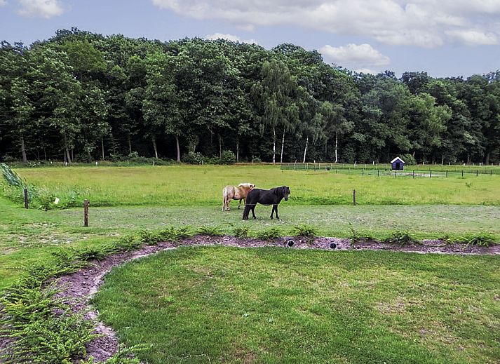 Unterkunft 523820 - Ferienhaus Twente - Vakantiehuis Familieboerderij
