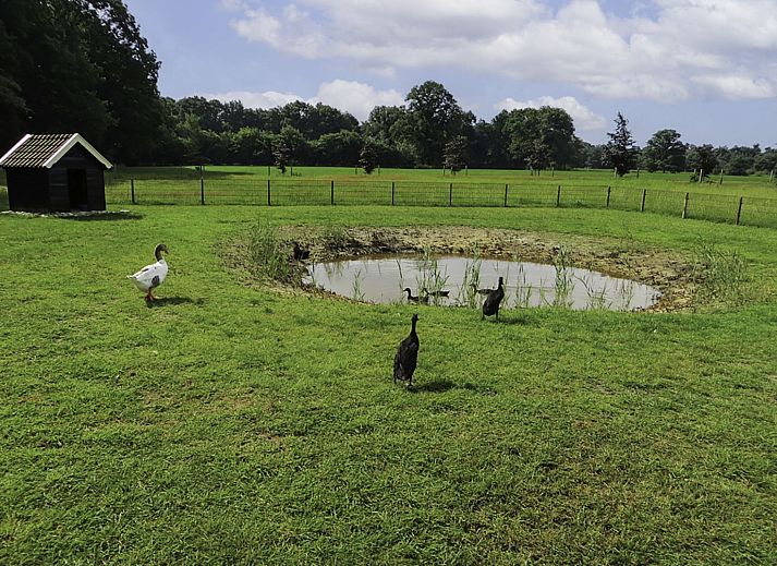 Unterkunft 523820 - Ferienhaus Twente - Vakantiehuis Familieboerderij