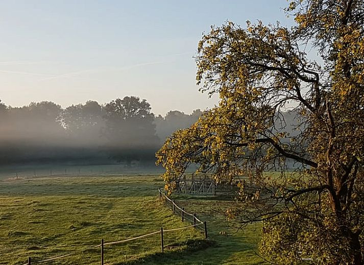Beautiful view of nature around Cottage in Losser, vacation home in Twente, Overijssel. Surrounded by greenery and tranquility.