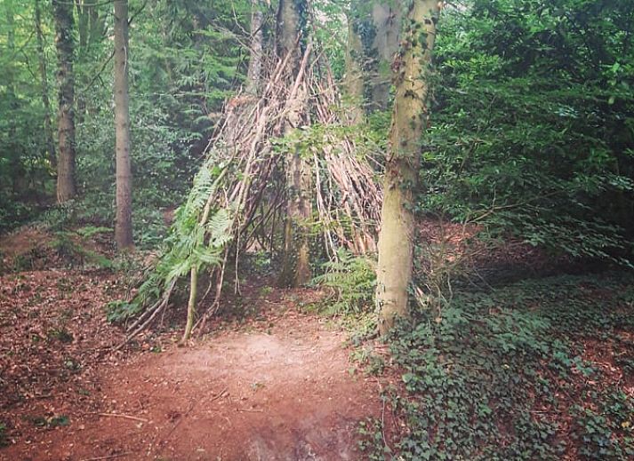 Beautiful view of nature around Cottage in Losser, vacation home in Twente, Overijssel. Surrounded by greenery and tranquility.