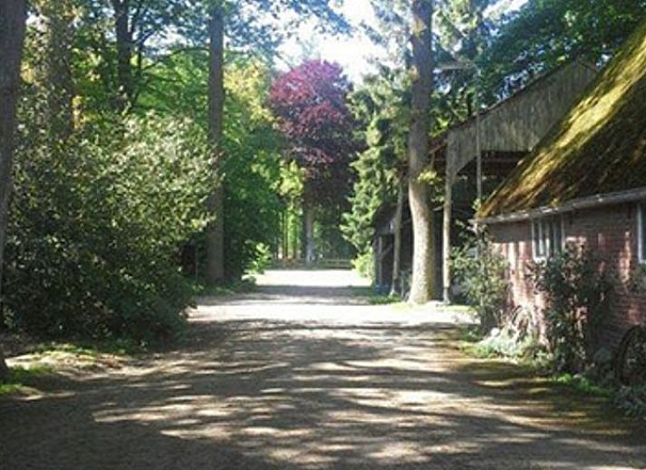 Guest house 523822 - Holiday property Twente - Vakantiehuisje in Losser