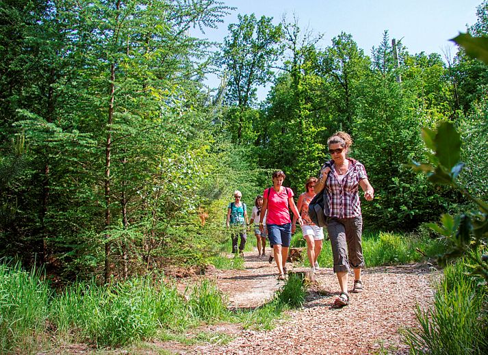 Unterkunft 523831 - Ferienhaus Twente - Vakantiehuis Boomgaard