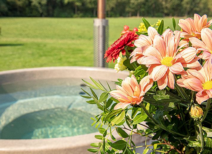 Ferienhaus De Regenboog in Losser, Twente mit einem schoenen Aussenbereich und gruener Umgebung.
