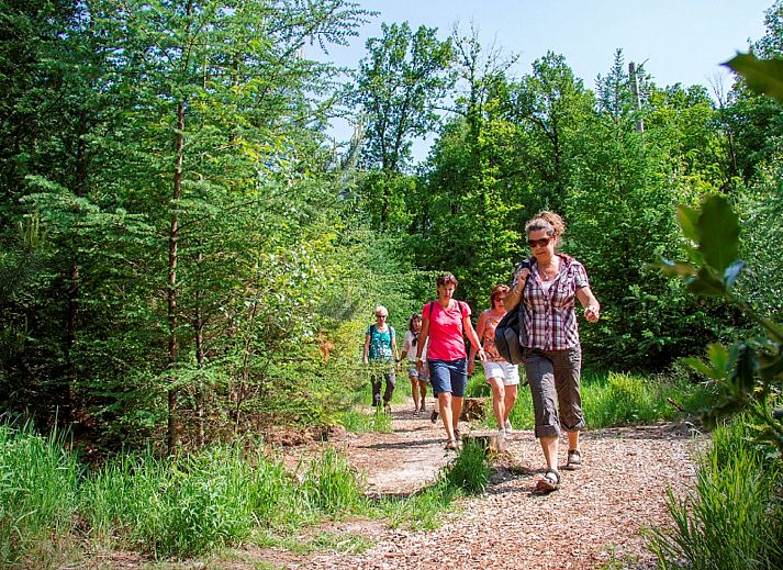 Gemuetliche Huette im Ferienhaus De Regenboog in Losser, Twente, ideal zum Entspannen.