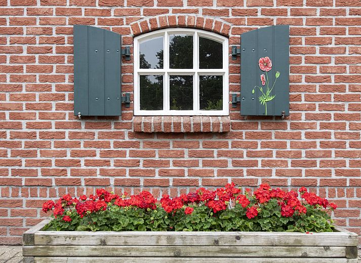 Guest house 523839 - Holiday property Twente - OV807