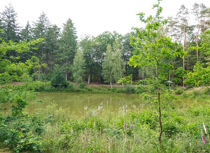 Luxurioeses Badezimmer mit Sauna in Cottage in Deurningen, Ferienunterkunft in Twente, Overijssel.