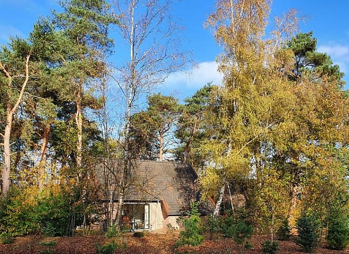 Luxurioeses Badezimmer mit Sauna in Cottage in Deurningen, Ferienunterkunft in Twente, Overijssel.