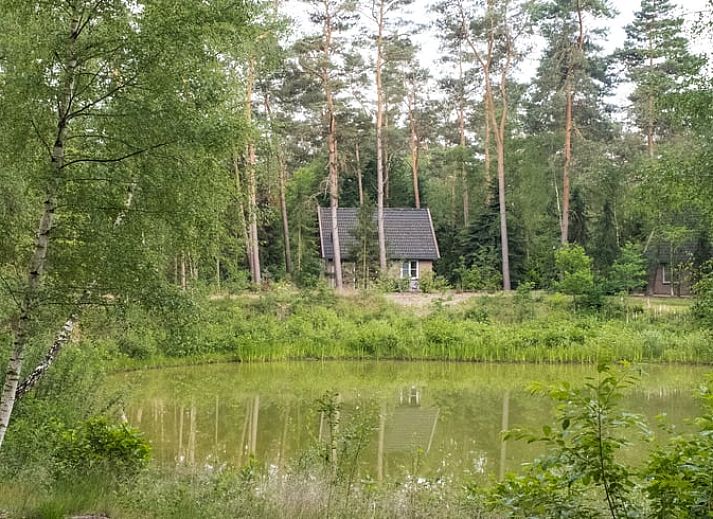 Luxurioeses Badezimmer mit Sauna in Cottage in Deurningen, Ferienunterkunft in Twente, Overijssel.