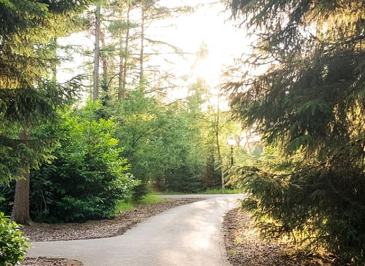 Gemuetliches Wohnzimmer mit Blick auf den Garten im Cottage in Deurningen, Twente, Overijssel.
