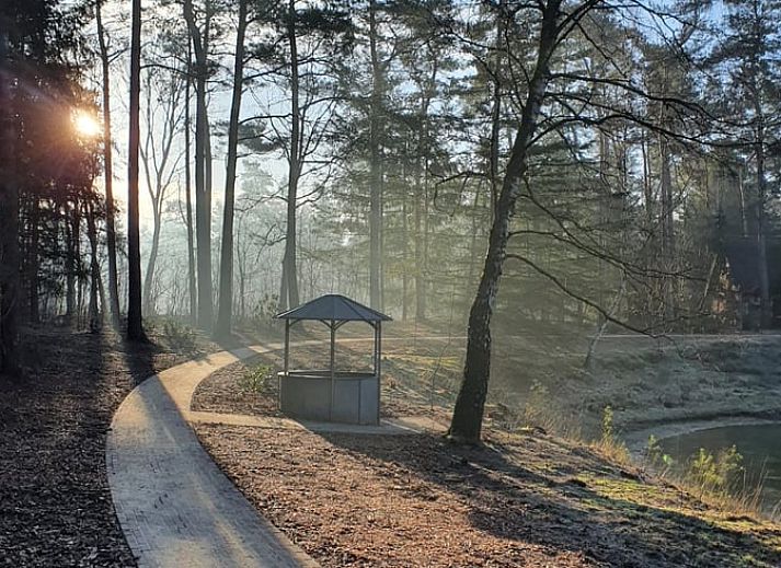 Charmantes Ferienhaus Cottage in Deurningen, gelegen im gruenen Twente, Overijssel.
