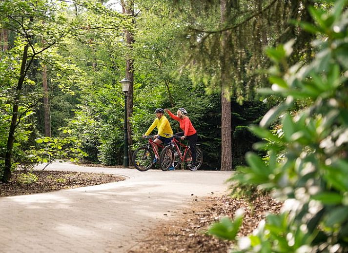 Landschaftlich reizvoller Wanderweg in der Naehe des Ferienhauses in Deurningen, umgeben von Natur in Twente, Overijssel.
