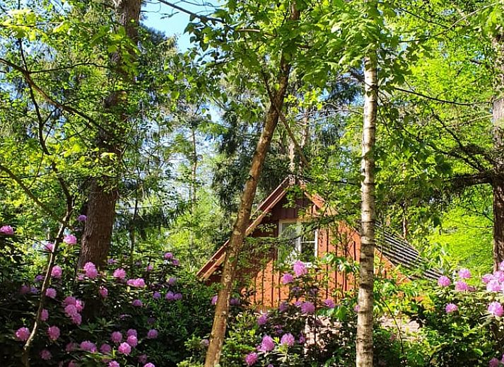 Ferienhaus in Deurningen, umgeben von gruener Natur in Twente, Overijssel.
